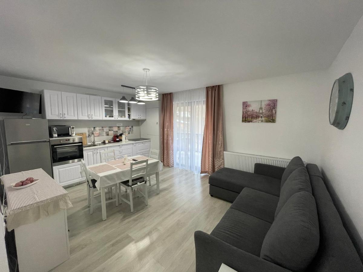 Castle Residence Apt. Eminescu Buşteni Extérieur photo