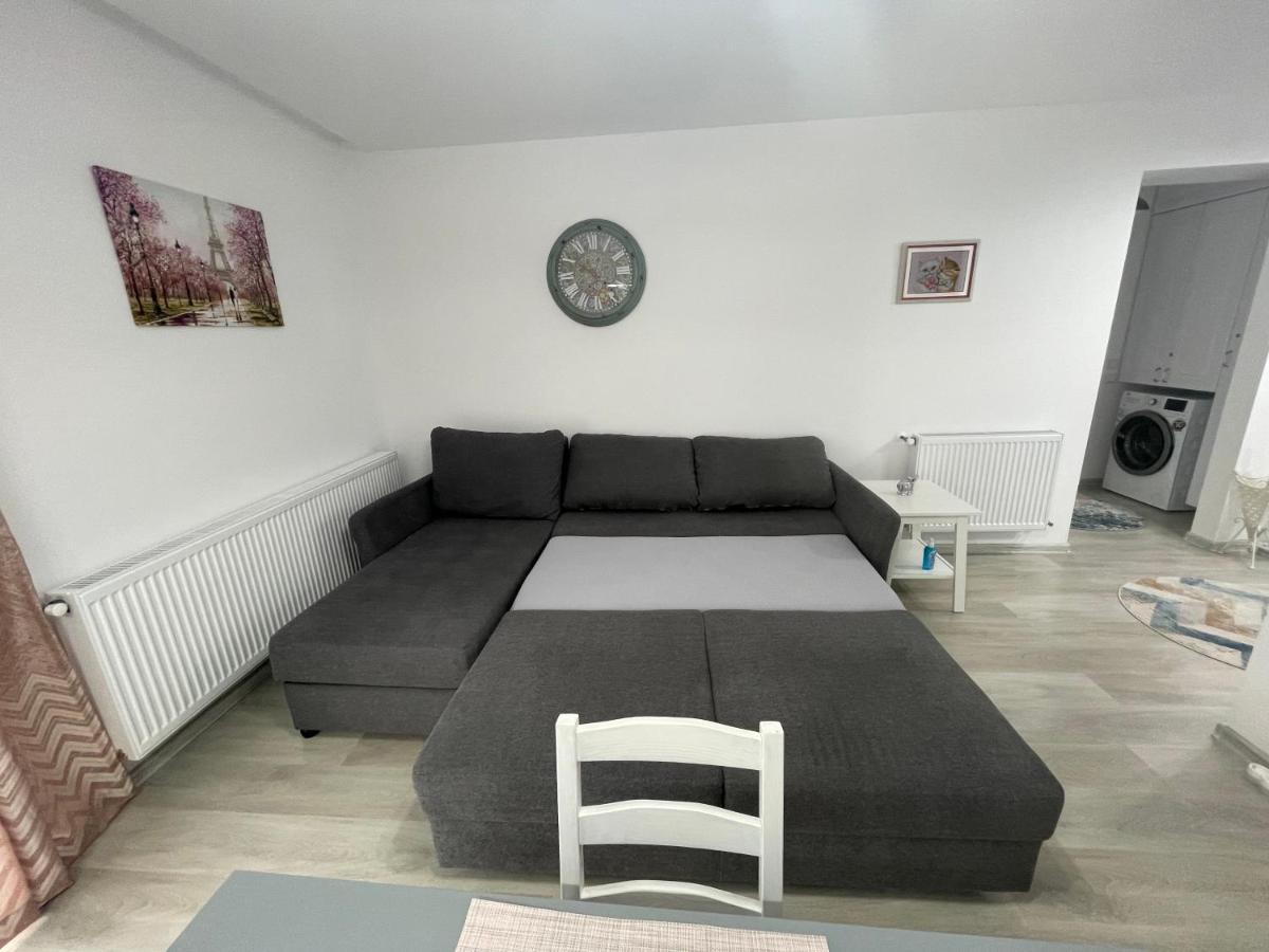 Castle Residence Apt. Eminescu Buşteni Extérieur photo